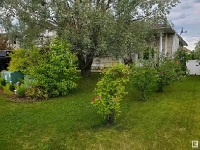 Lakewood Estates Bungalow in Cold Lake AB image