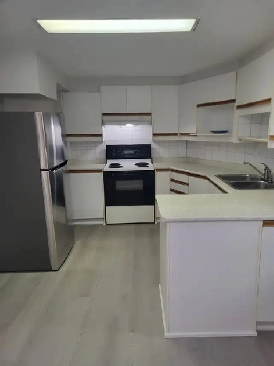 Basement apartment with two separate rooms image
