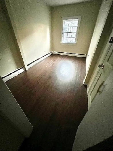 Room For Rent Downtown Apartment Dog  Cat Friendly  Open Now image