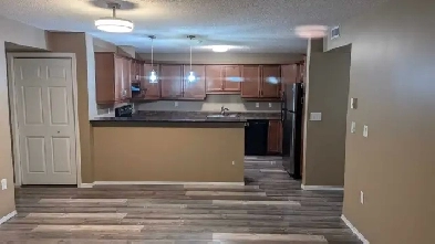 1300 Sqft Lindenwoods 2br BONUS room 2bath UTILITIES INCLUDED image