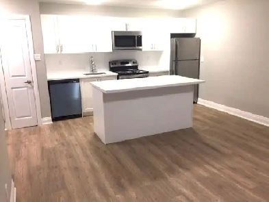 1 Bedroom Apartment for rent image