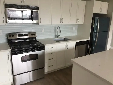 1 Bedroom apartment for rent image
