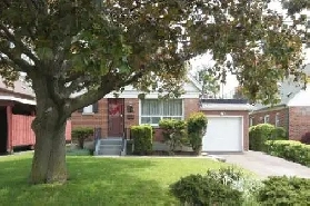 Full Basement House 3 Bed 1 Bath At Scarborough Rent  1800 image