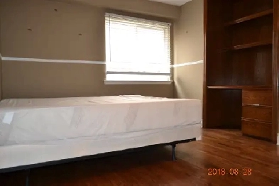 One Private Room for Rent Williams  Dixie Brampton 800Month image