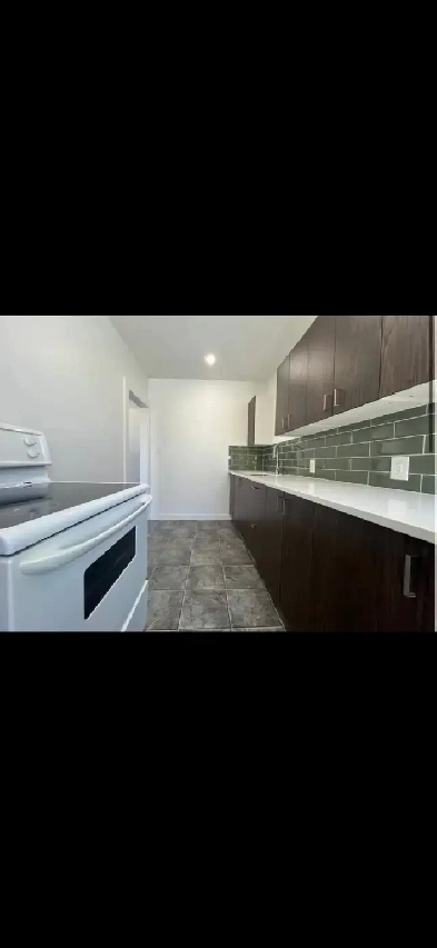 1 bedroom downtown suite for rent image