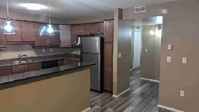 1300 Sqft Lindenwoods 2br BONUS room 2bath UTILITIES INCLUDED image