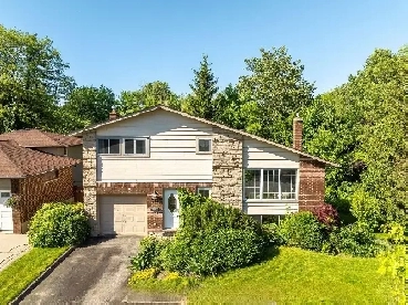 Basement for Rent image