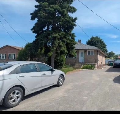 Top Floor 3 Bedroom house for rent image