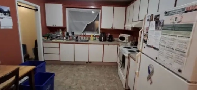 One Large Room 165 sqf on the First Floor  755 All Inclusive image
