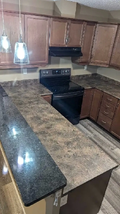 1300 Sqft Lindenwoods 2br DEN 2Bathrooms UTILITIES INCLUDED image
