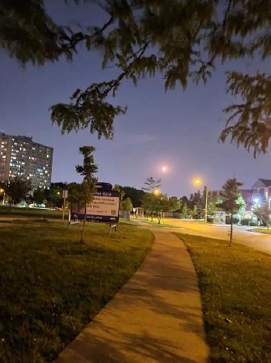 Furnished Room near Humber college in Highrise image