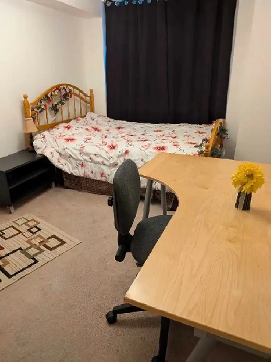 LOCATION LOCATION image