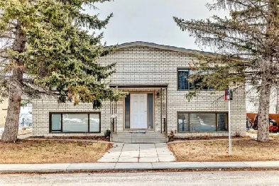 Just Fully Renovated Bright  Spacious 2Bedroom WalkOut Baseme image