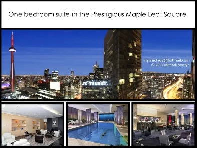 Furnished Luxury Condo  Downtown Toronto Maple Leaf Square image