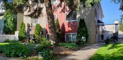 A truly beautiful clean quiet secure centrally located home image