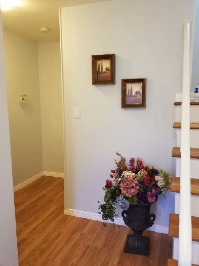Basement Yonge  Finch 2 Bed 1680 image