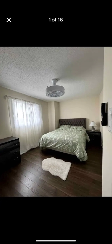 Cozy room with share bathroom Rent image