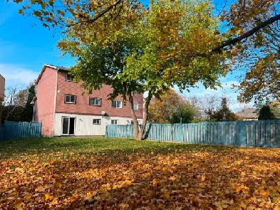 Total Renovated 3 Bed 3 Bathroom HouseSheppard  404 image