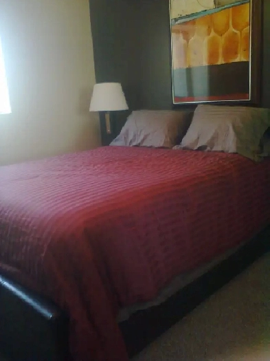 Remodeled One Bedroom Condo for rent August 1 St Boniface image
