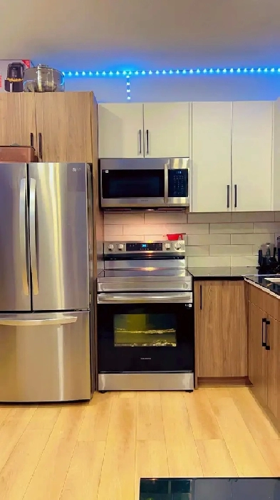 Beautiful Lower Level 2 Bedroom Duplex for Rent image