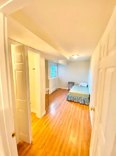 Room For Rent On The Hill Uptown Dog  Cat Friendly  Sept 1st image