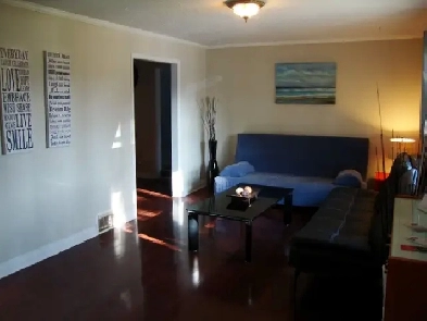 One bedroom near UTSC for rent image