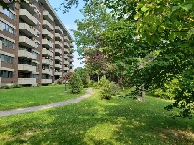condo 3 et 12  louer 820pca meubl1669m StLambert REM image