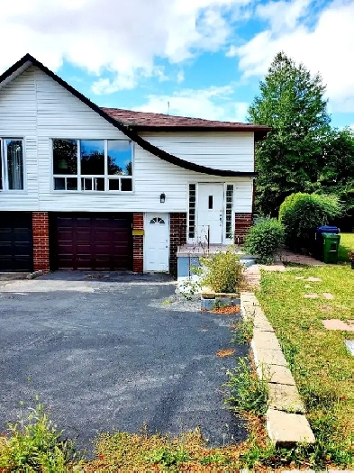 1 Room for rent  10Min walk to Seneca College North York image