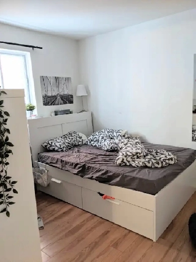 2 12  louer mtro Laurier image