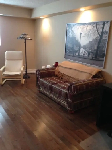 newly renovated one bedroom condo for rent in Norwood flats image