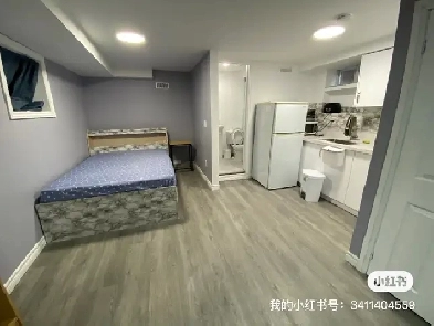 New renovation walkout basement studio available NOWfor couple image