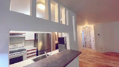 45 LARGE CONDO ALEXANDRE DESEVE CENTER OF VILLAGE VACANT NOW image