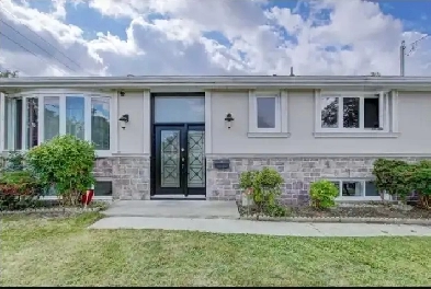 BASEMENT ROOM FOR RENT NEAR SCARBORO TC image