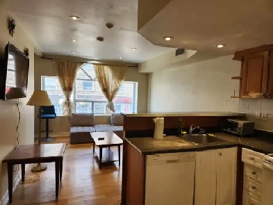 Furnished 2 bdr apt near Pape Station JulAug 1 image