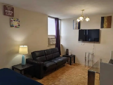 Furnished bachelor studio Eglinton Station August 1 image