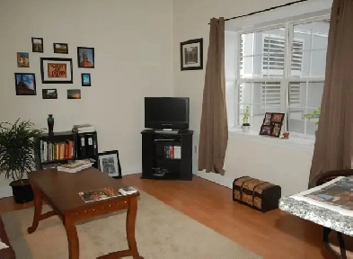 1 Bedroom   Loft Apartment Downtown Halifax October 2025 image