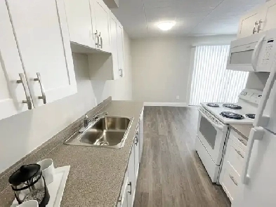 1 Bedroom Apartment in SSM  ALL INCLUSIVE image
