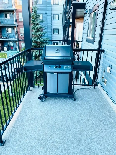 One bedroom apartment for rent in silverberry image