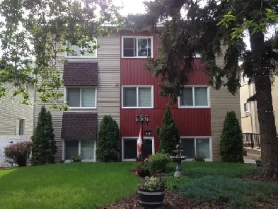 A truly beautiful clean quiet secure centrally located home image