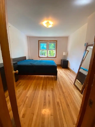 Grande Chambre  louer pour tudiants Mtro Joliette image
