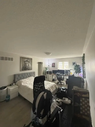 Bedroom   Private Ensuite  All Inclusive  BayviewMajor Mac image