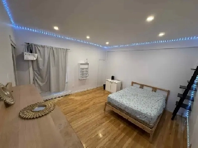 Grande Chambre  louer pour tudiants Mtro Joliette image