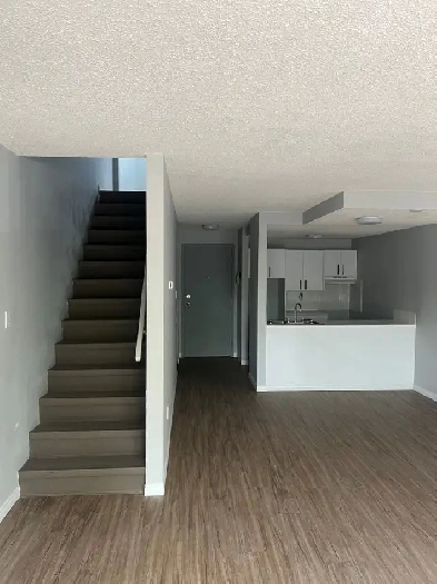 Newly Renovated One Bedroom Suites Available image