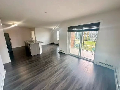 Rent nbspLuxury Rental  Corner Condo NE Calgary 1950 image