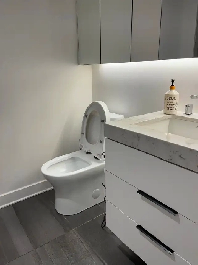 Furnished 1bedroom condo for rent image