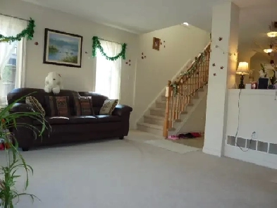 Bright Cozy Basement Close to Campus Perfect for Students image