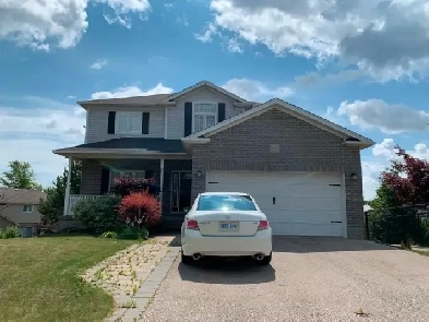 1 Bed  1 Bath walk out basement with separate entrance for rent image