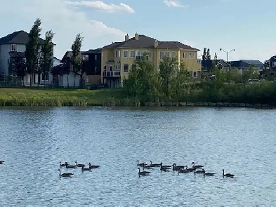 2 BD selfcontained All inclusive lake front Main floor clean image