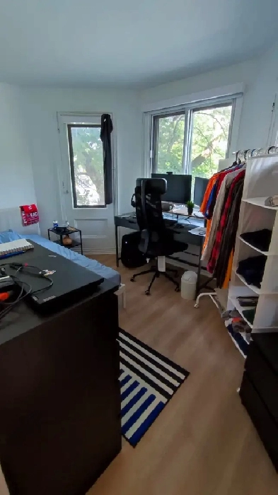 Renovated 1 bedroom 1 bathroom apartment for rent in the Plateau image