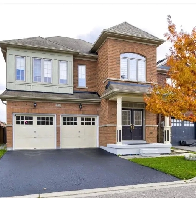 Brampton basement for rent image